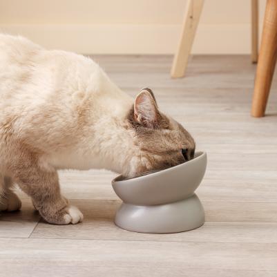 Миска круглая керамическая для кошек и собак, 150 мл, 13,4х9,6 см, сераяматовая – фото 1