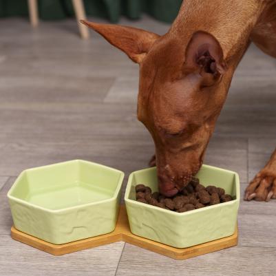 Миски керамические шестиугольные на подставке для собак средних и крупных пород, 2х800 мл, зеленые – фото 1