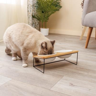 Набор из 2-х керамических мисок на подставке для кошек и собак, 2 шт. по300 мл, белый – фото 2