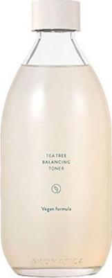 Тонер для жирной кожи Tea Tree Balancing Toner – фото 1