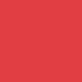 Бальзам для губ с оттенком Extra Color Shine 3 г 0716170346236 – фото 1