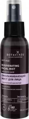 Мист для лица Anti-age Омолаживающий, 100 мл – фото 2