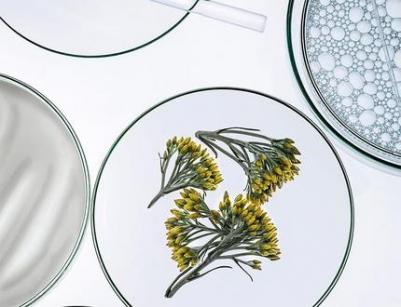 Антивозрастной тонизирующий лосьон для лица 250 мл - Сделано в Италии – фото 2