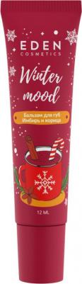 Бальзам для губ Имбирь и корица Winter mood