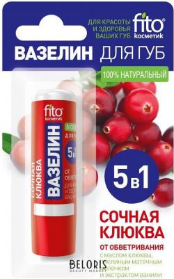 Вазелин для губ Сочная клюква от обветривания, 4,5 г – фото 6