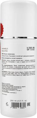 Лосьон с гамамелисом / Hamamelis LOTIONS 250 мл – фото 2