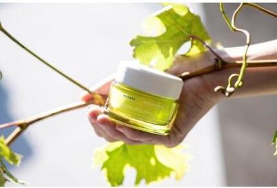 Крем для лица Santorini Grape Poreless Skin Cream матирующий 40 мл – фото 3