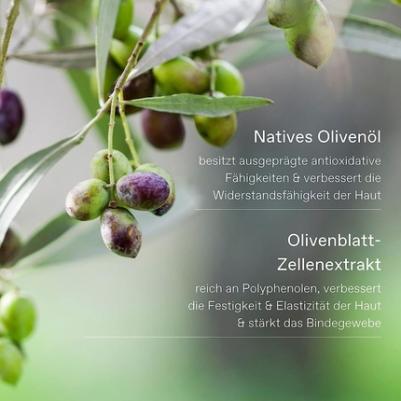 Pure Greek Olive Крем для рук Цветы Оливы – фото 2