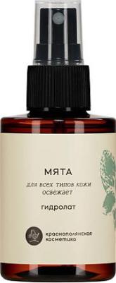 Гидролат "Мята", 100 мл – фото 1