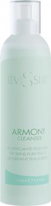 Очищающий гель Armony Cleanser, 250 мл