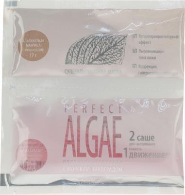 Маска суперальгинатная противокуперозная / Perfect Algae Homework 17 г + 50 мл – фото 2