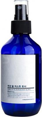 Тонер-мист Mist Toner 100 мл – фото 1