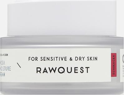 Увлажняющий крем-гель с экстрактом эхинацеи Echinacea Calming Moisture Gel Cream 50 мл