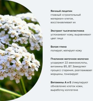Маска для лица Лецитиновая для всех типов кожи Молодильная, 100 мл – фото 3