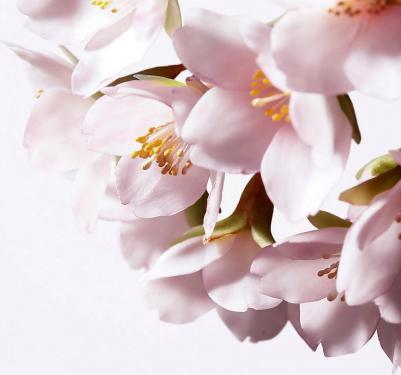 Сыворотка для лица White Lucent Illuminating Micro-Spot Serum осветляющая, 30 мл – фото 12