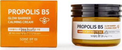 Успокаивающий крем для лица с прополисом Propolis B5 Glow Barrier Calming Cream, 60гр – фото 3