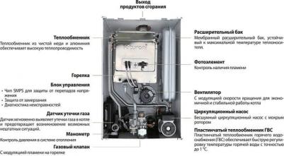 World Alpha 24 – фото 17