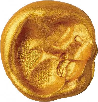 Краска масляная художественная PREMIERE, 46 мл, профессиональная серия, ЗОЛОТИСТАЯ, 191447 – фото 2