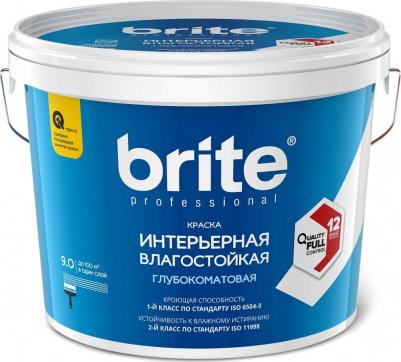 Интерьерная влагостойкая краска PROFESSIONAL – фото 1