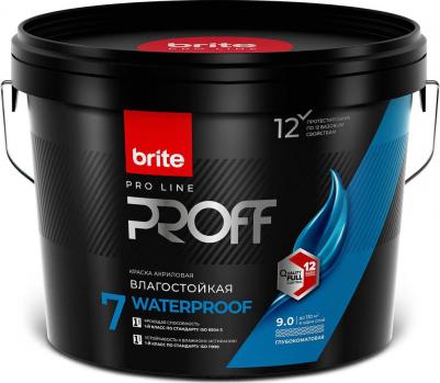 Интерьерная влагостойкая краска PROFESSIONAL