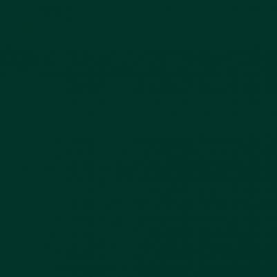 Краска резиновая 273856, глубокоматовая, 12 кг, RAL 6005, зеленый мох – фото 5