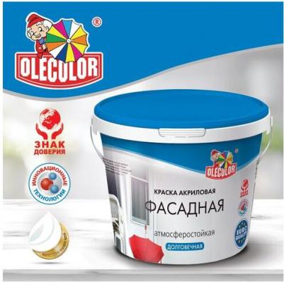 Фасадная водно-дисперсионная краска 4300000053 – фото 2