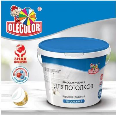 Водно-дисперсионная краска для потолков 4300000039 – фото 1