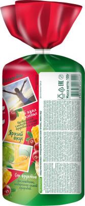 Хлебцы мультизлаковые брусника/имбирь/мед 100 г – фото 1