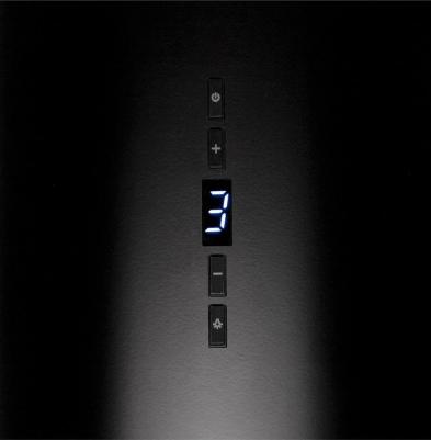 Pasio Black/Black Glass 31 – фото 1