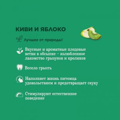 Лакомство для грызунов Лакомые ветви с киви и яблоком, 35г – фото 8