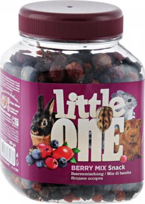Лакомство для грызунов Ягодное ассорти для всех видов грызунов 200г – фото 4