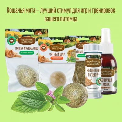 Экстракт кошачьей мяты, 100 мл – фото 5