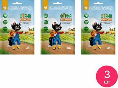 Лакомство для кошек и котят хрустящие подушечки с паштетом из курицы 40г – фото 1