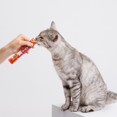 Лакомство-пюре Куриное филе и говядина (4х14 гр.) для кошек Churu – фото 4