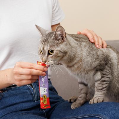 Лакомство-пюре Тунец магуро и лобстер (4x14 гр.) для кошек Churu – фото 3