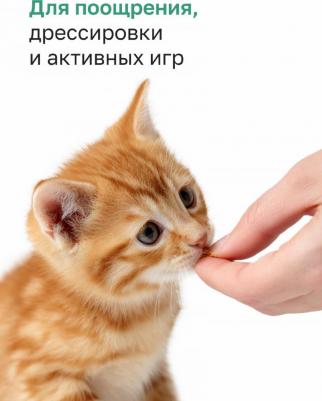 Натуральная еда лакомства 4630411040287 – фото 9