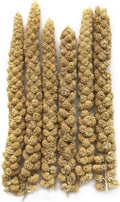 Сенегальское просо в колосьях (100 г.) 4602533783236 – фото 1