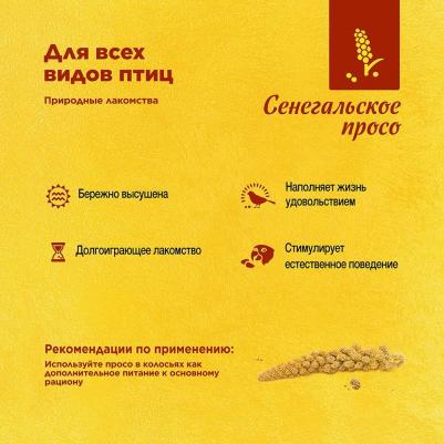 Сенегальское просо в колосьях (100 г.) 4602533783236 – фото 2