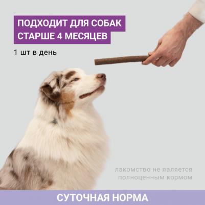 Лакомство Мясные палочки с курицей XXL (2 шт., 180 гр.) для собак – фото 3