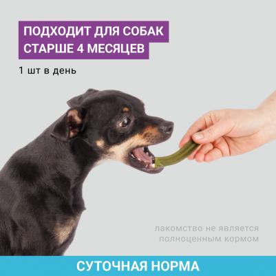 Лакомство Палочки со вкусом эвкалипта для собак мелких пород Dental sticks – фото 1