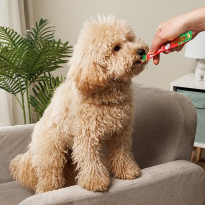 Лакомство для собак Churu Куриное филе со вкусом говядины, пюре 14г*4шт – фото 7