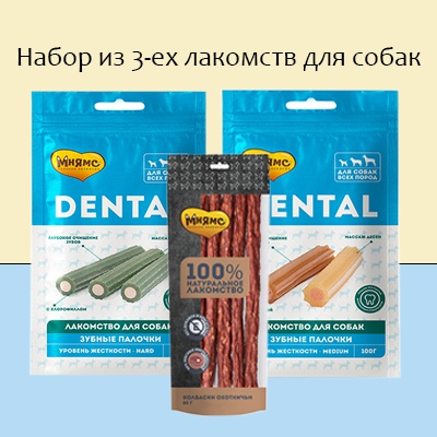 Лакомство для собак DENTAL зубные палочки с хлорофиллом, 100 гр – фото 2