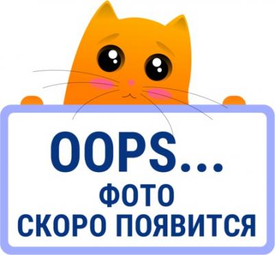 Лакомство для собак Нарезка из говядины, 75 г – фото 2