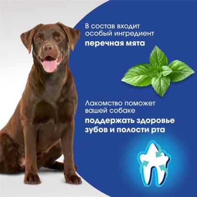 Лакомство для собак средних и крупных пород Oral Care с говядиной и мятой, 130 г – фото 5