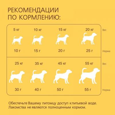 Лакомство для собак Хрустящий завтрак индейка облепиха йогурт черника, 700 г – фото 3