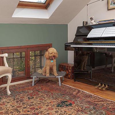 Лежанка для собак 44x62x18см в ассортименте – фото 2