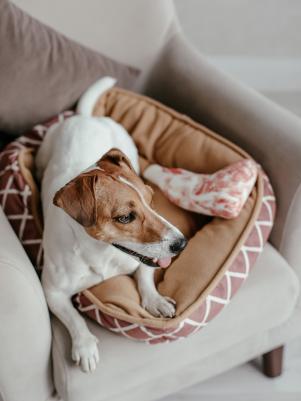 Лежанка для домашних животных Уютный уголок, красная, 56х46х15 см – фото 4