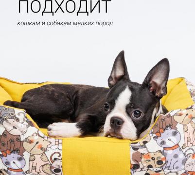 Лежак для собак и кошек Коты, 50х40х10 см, желтый – фото 3