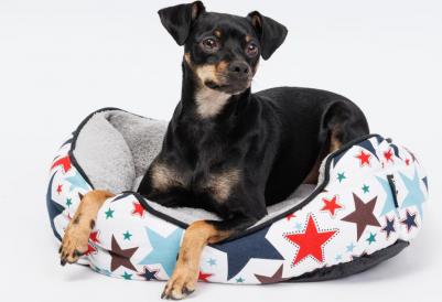 Лежак для собак и кошек Звезды, 50х40х14 см, серый