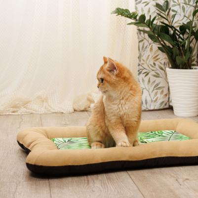 Подстилка для собак и кошек, 60х40х5 см, бежевая – фото 3